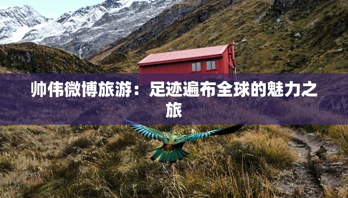 帅伟微博旅游：足迹遍布全球的魅力之旅