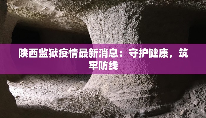 陕西监狱疫情最新消息：守护健康，筑牢防线