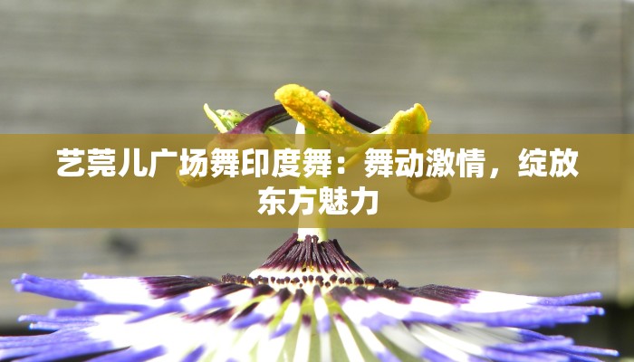 艺莞儿广场舞印度舞：舞动激情，绽放东方魅力