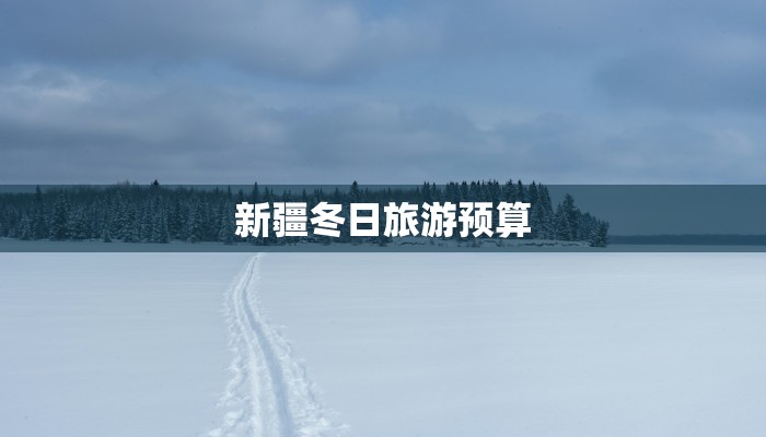 新疆冬日旅游预算