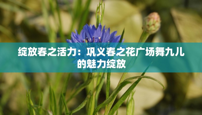 绽放春之活力:巩义春之花广场舞九儿的魅力绽放 绽放春之活力:巩义春之花广场舞九儿的魅力绽放
