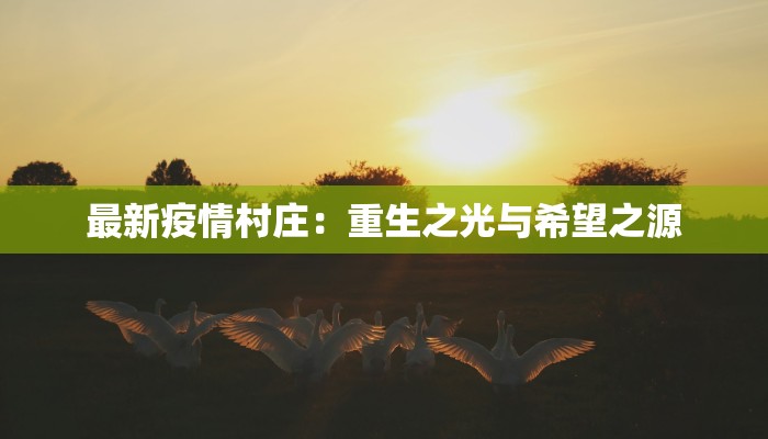 最新疫情村庄：重生之光与希望之源