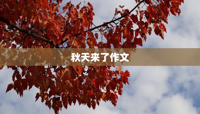 秋天来了作文