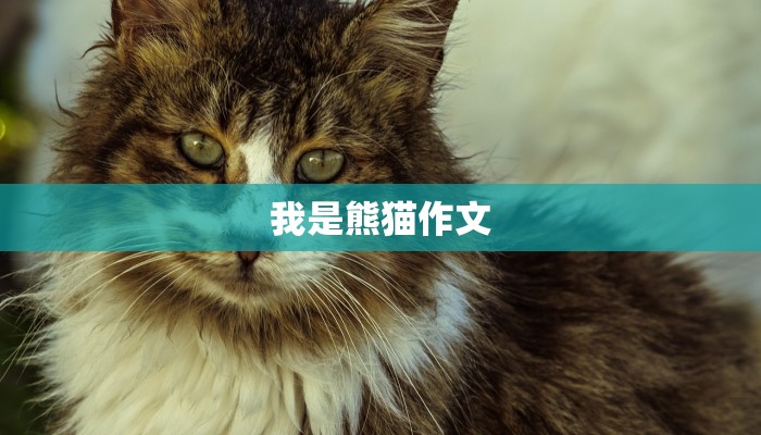 我是熊猫作文