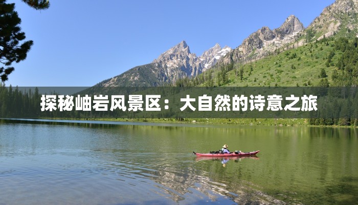 二年级小狗作文：萌宠奇缘，温暖你的心田