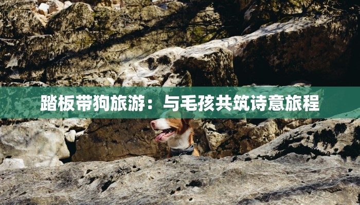 联营巷疫情最新情况 联营巷疫情最新情况