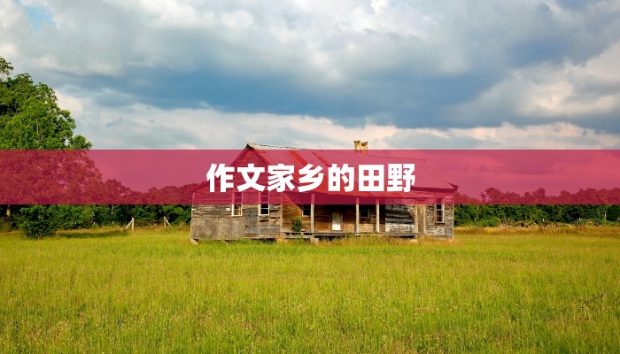 作文家乡的田野