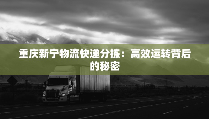 重庆新宁物流快递分拣:高效运转背后的秘密 重庆新宁物流快递分拣:高效运转背后的秘密