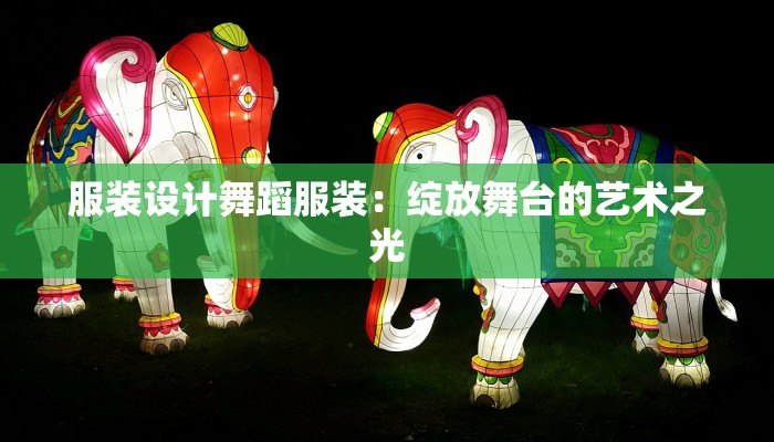 服装设计舞蹈服装：绽放舞台的艺术之光