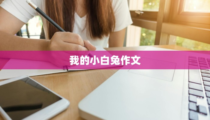 我的小白兔作文 我的小白兔作文