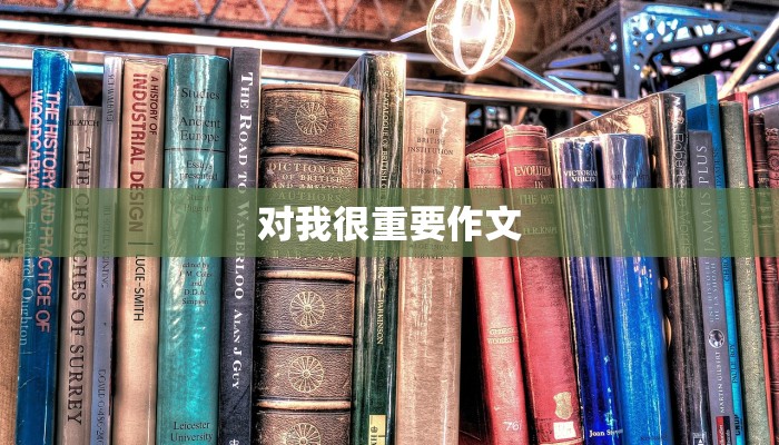 对我很重要作文