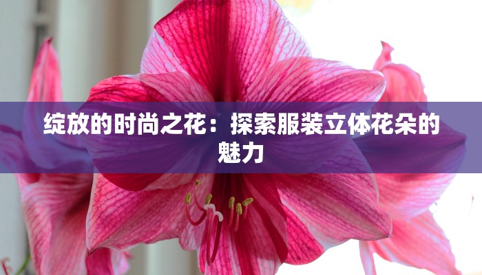 绽放的时尚之花:探索服装立体花朵的魅力 绽放的时尚之花:探索服装立体花朵的魅力