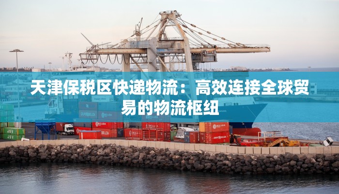 天津保税区快递物流：高效连接全球贸易的物流枢纽