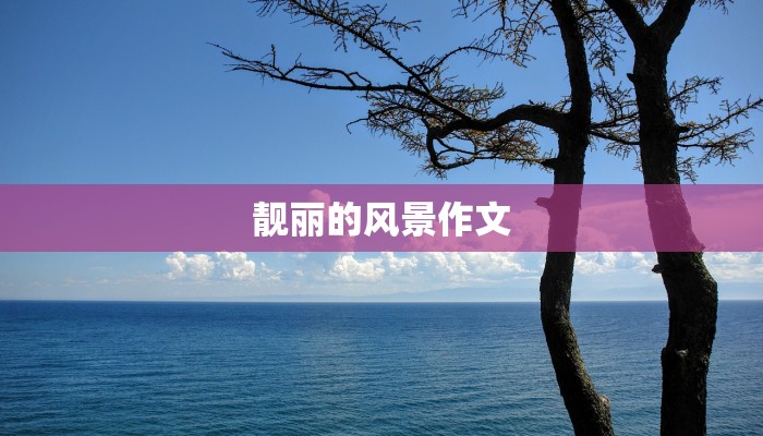 靓丽的风景作文