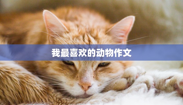 我最喜欢的动物作文