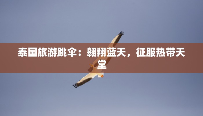 泰国旅游跳伞：翱翔蓝天，征服热带天堂