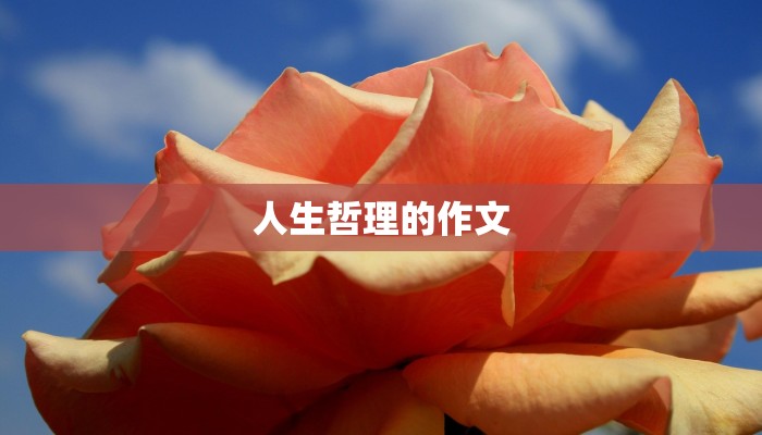 人生哲理的作文