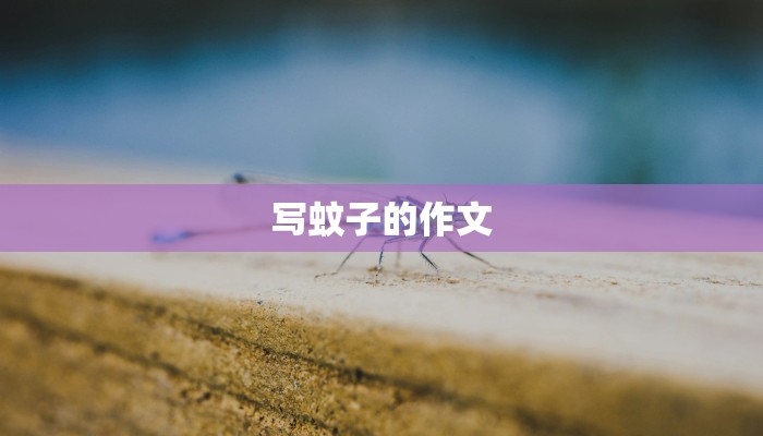 写蚊子的作文