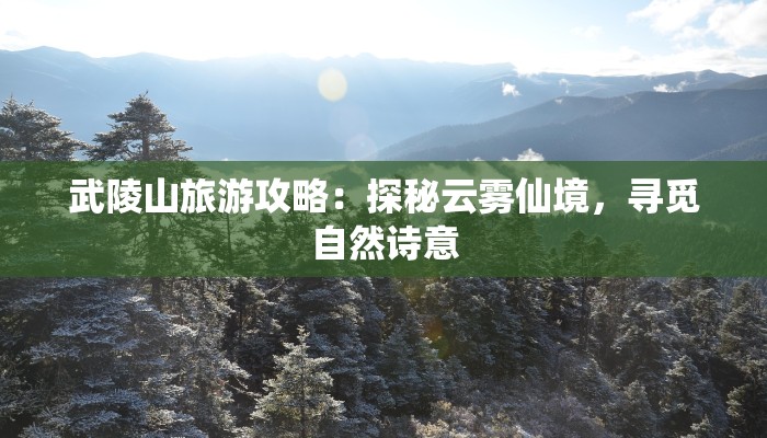 武陵山旅游攻略:探秘云雾仙境,寻觅自然诗意 武陵山旅游攻略:探秘云雾仙境,寻觅自然诗意