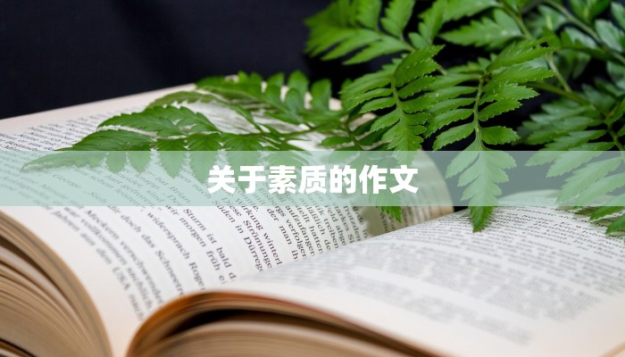 关于素质的作文 关于素质的作文
