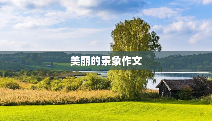 美丽的景象作文 美丽的景象作文