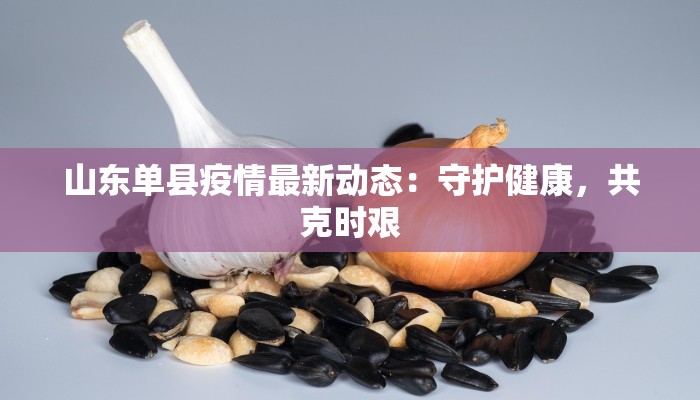 山东单县疫情最新动态：守护健康，共克时艰