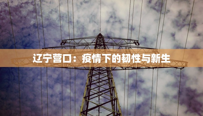 辽宁营口：疫情下的韧性与新生