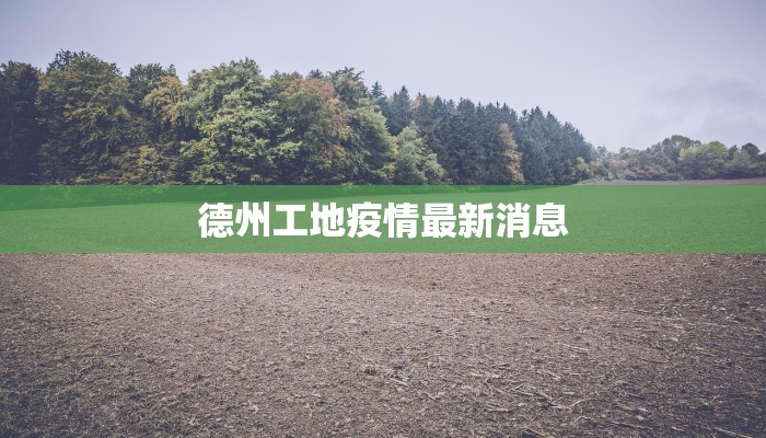 德州工地疫情最新消息