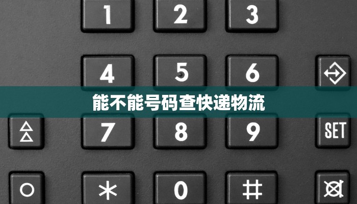 能不能号码查快递物流