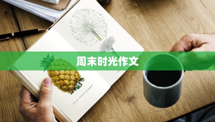 周末时光作文