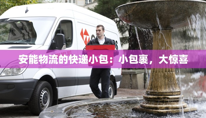 安能物流的快递小包：小包裹，大惊喜