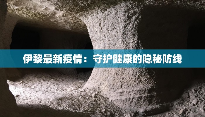 伊黎最新疫情:守护健康的隐秘防线 伊黎最新疫情:守护健康的隐秘防线
