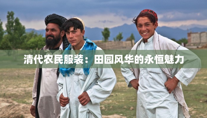 清代农民服装:田园风华的永恒魅力 清代农民服装:田园风华的永恒魅力