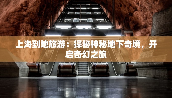 上海到地旅游：探秘神秘地下奇境，开启奇幻之旅