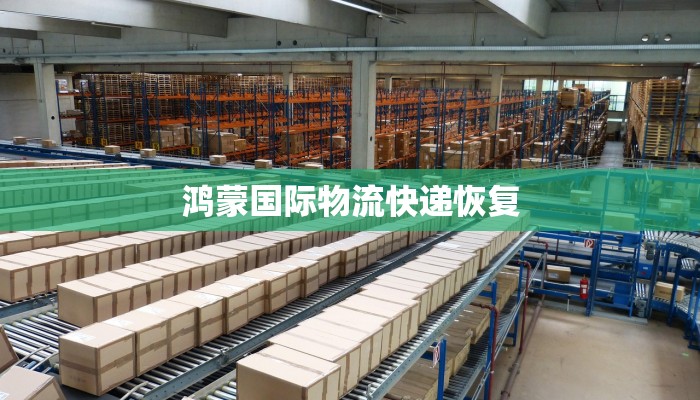 鸿蒙国际物流快递恢复
