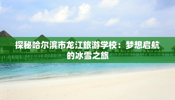 探秘哈尔滨市龙江旅游学校：梦想启航的冰雪之旅