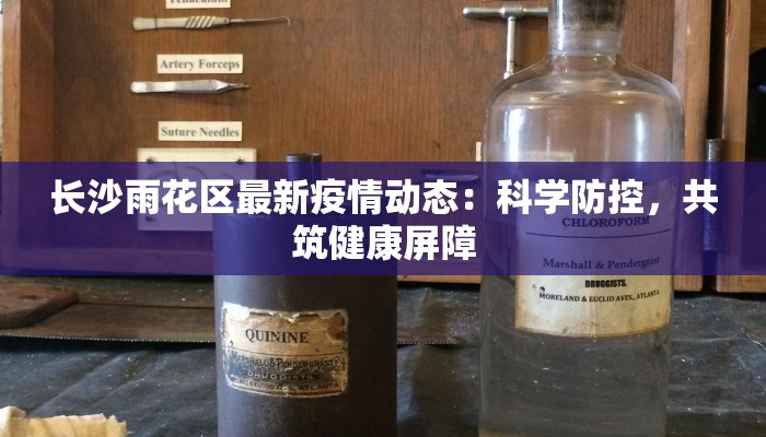 长沙雨花区最新疫情动态：科学防控，共筑健康屏障