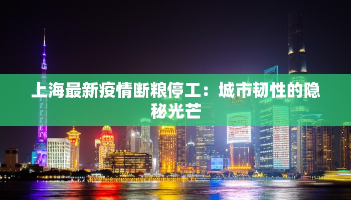 上海最新疫情断粮停工：城市韧性的隐秘光芒