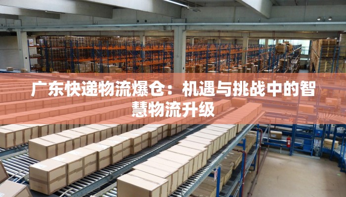 广东快递物流爆仓:机遇与挑战中的智慧物流升级 广东快递物流爆仓:机遇与挑战中的智慧物流升级