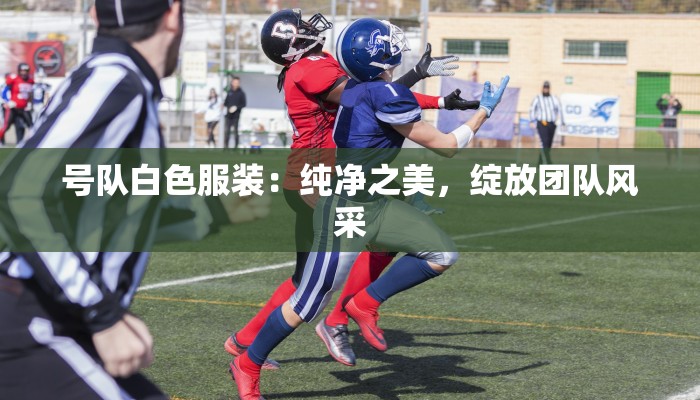 天猫物流快递员:奔波背后的闪光人生 天猫物流快递员:奔波背后的闪光人生