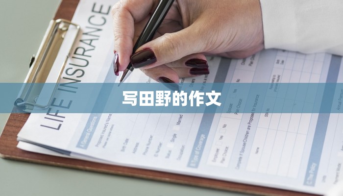 写田野的作文