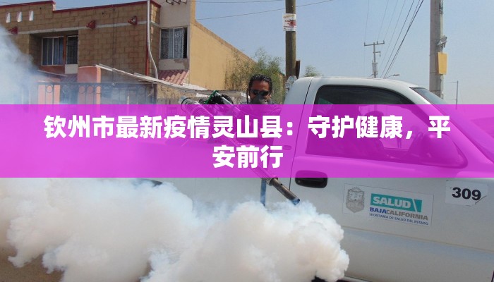钦州市最新疫情灵山县:守护健康,平安前行 钦州市最新疫情灵山县:守护健康,平安前行