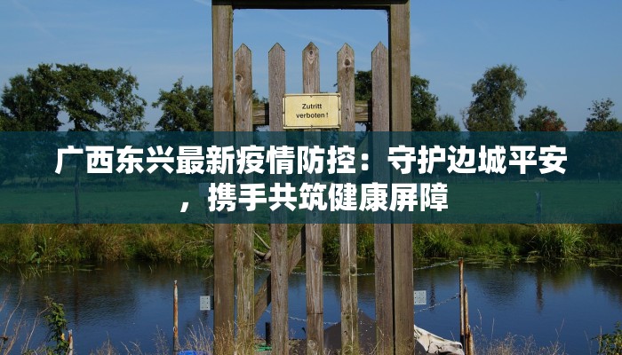 广西东兴最新疫情防控：守护边城平安，携手共筑健康屏障