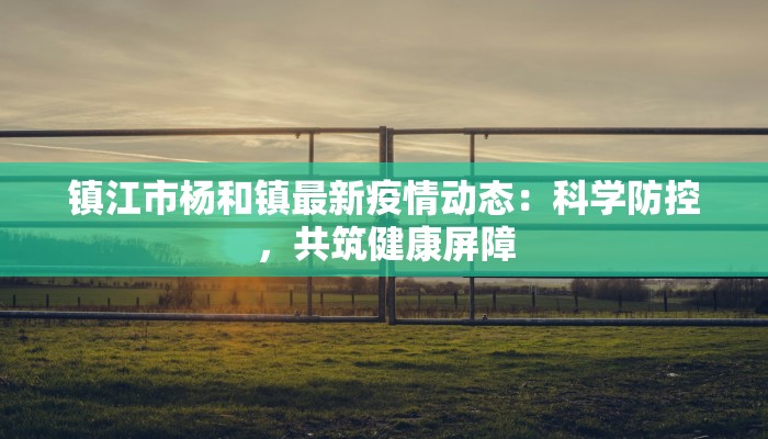镇江市杨和镇最新疫情动态：科学防控，共筑健康屏障