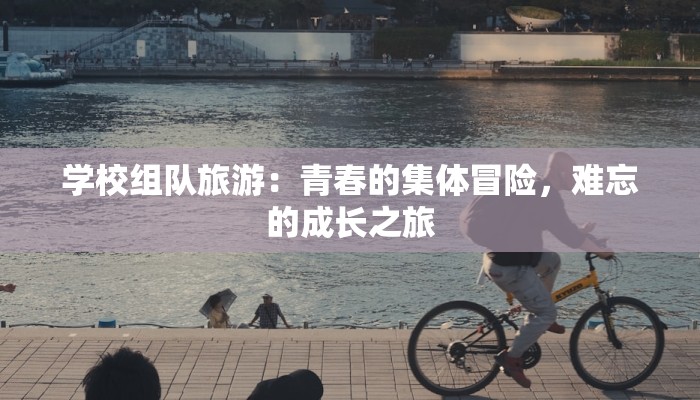 学校组队旅游：青春的集体冒险，难忘的成长之旅
