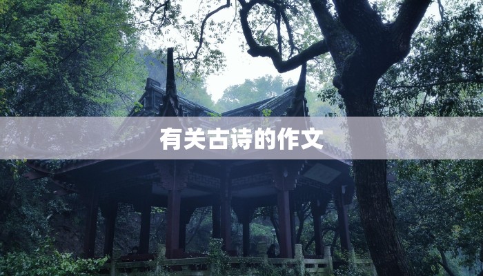 长春金正物流:您的可靠快递伙伴,连接梦想与现实 长春金正物流:您的可靠快递伙伴,连接梦想与现实