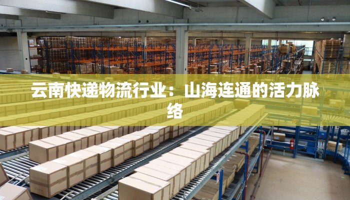 云南快递物流行业:山海连通的活力脉络 云南快递物流行业:山海连通的活力脉络