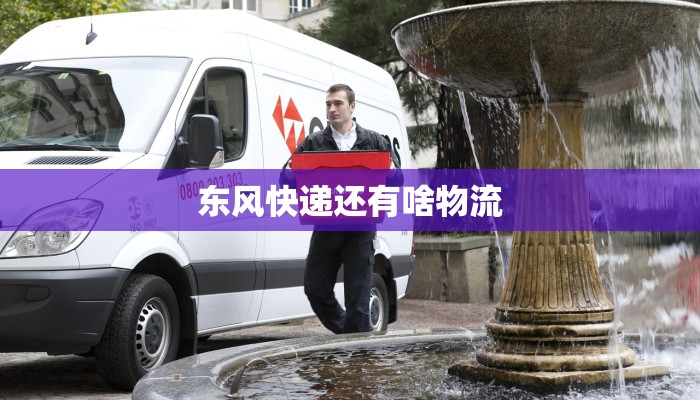 东风快递还有啥物流 东风快递还有啥物流