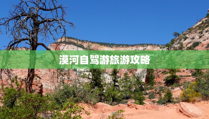 松江疫情最新住所管控 松江疫情最新住所管控