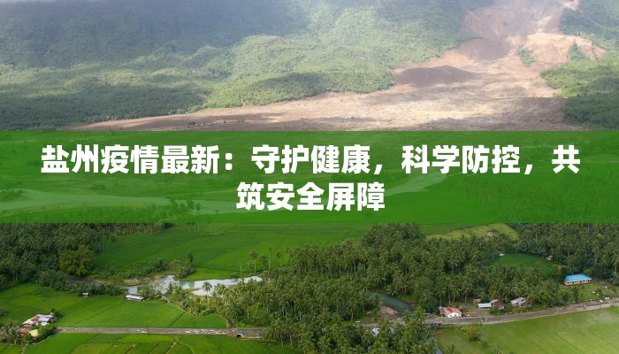 盐州疫情最新：守护健康，科学防控，共筑安全屏障